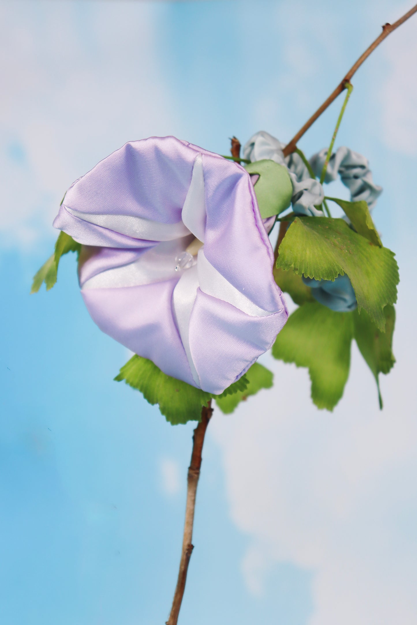 Petunia hair rings